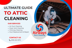 Attic Cleaning in San Diego